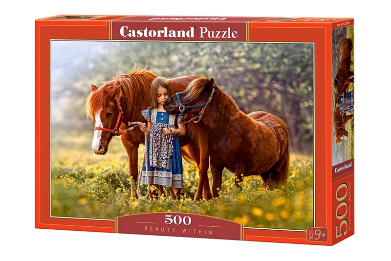 Obrazek pudełka